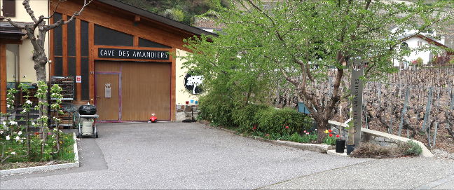 cave des amandiers