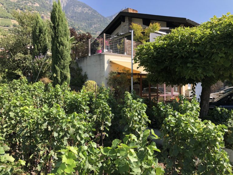 anthony baselgia, cave jean maret,  fully