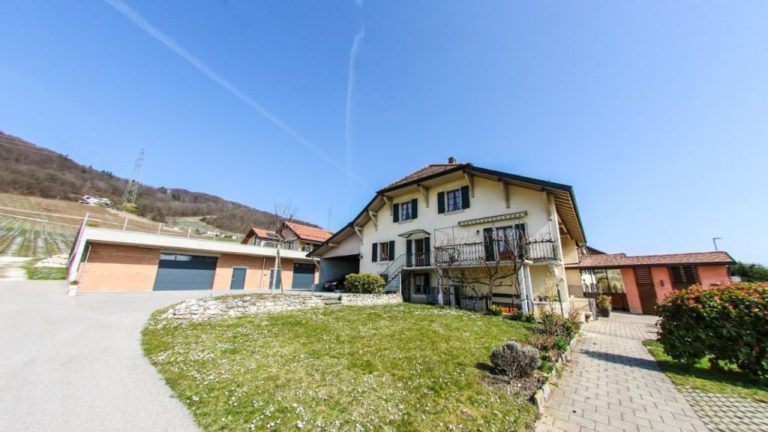 cave des rossillonnes, vinzel