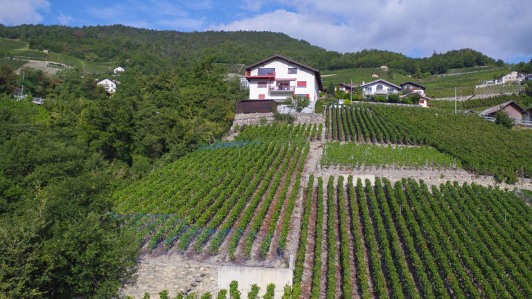 cave de la rayettaz, corin