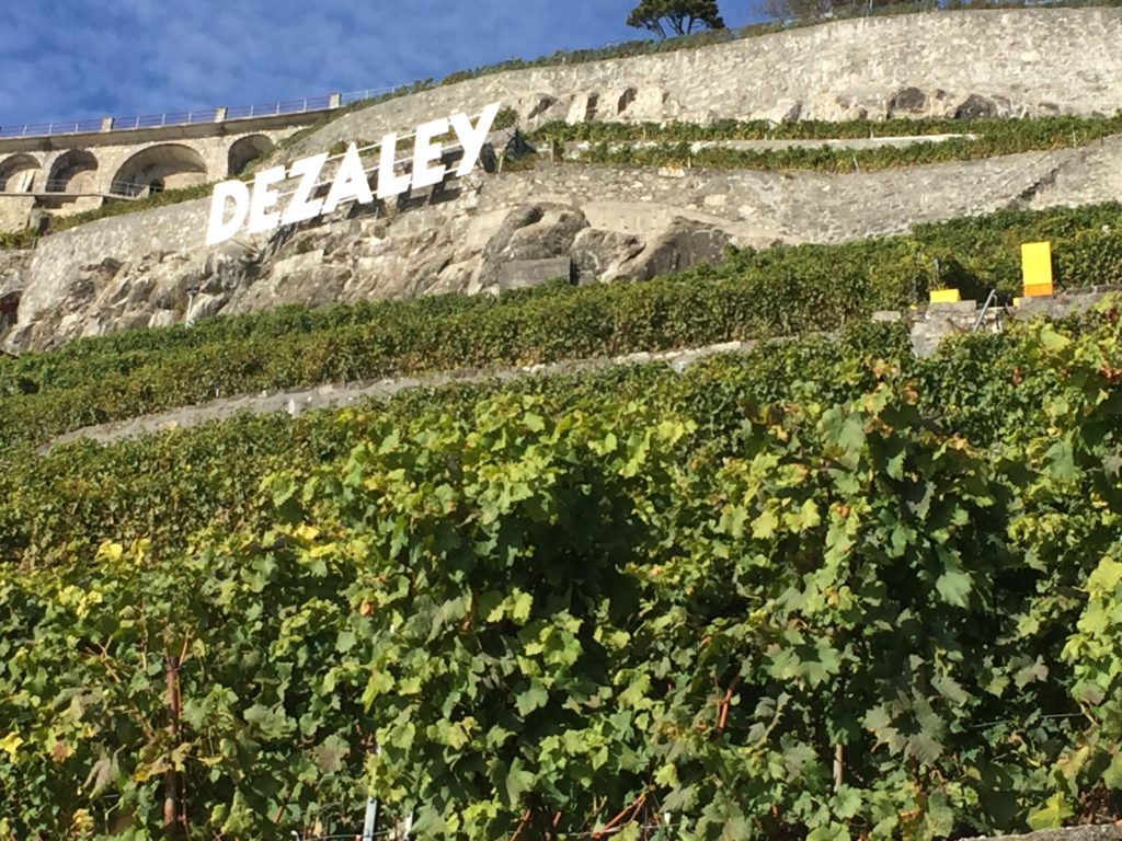 cave didier imhof, rivaz