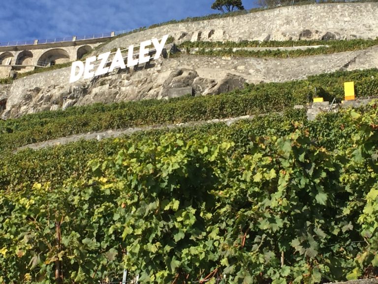 cave didier imhof, rivaz