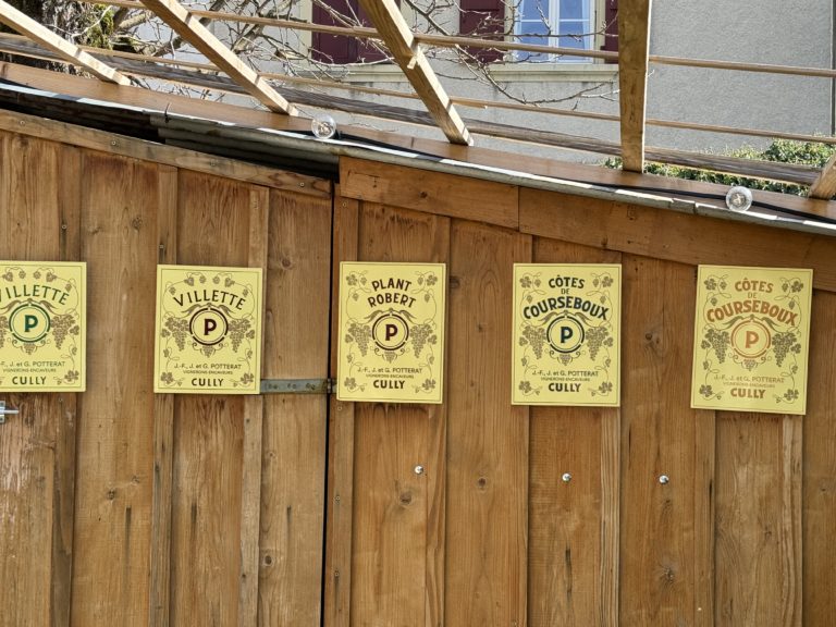 domaine potterat, guillaume potterat, cully