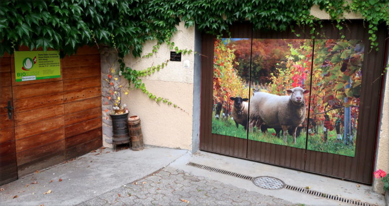 cave caloz, sandrine caloz, miège
