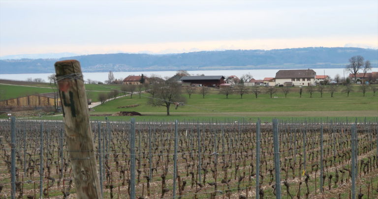 domaine de gourmandaz, valentin bourgeois & alice perdriolle, corcelles-près-concise