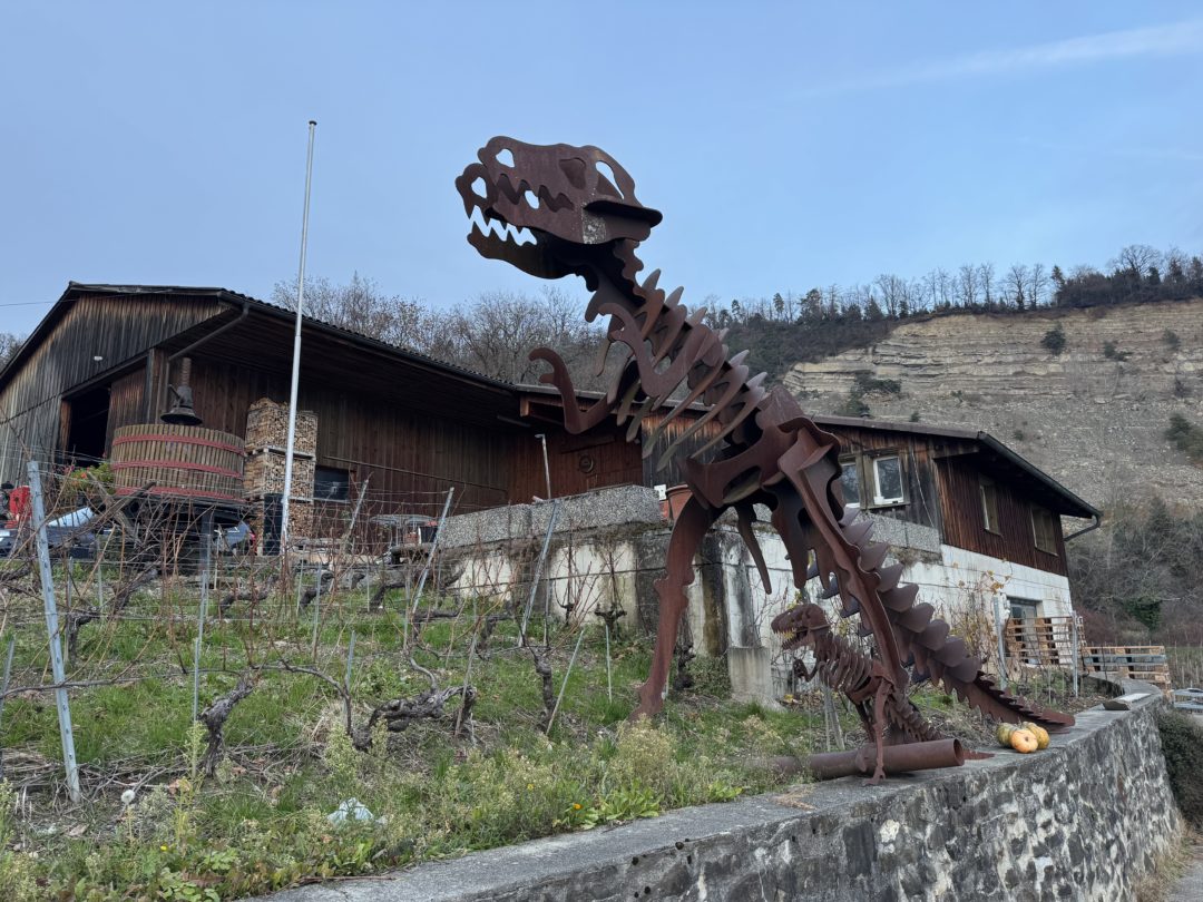 Philippe et Fatima Rouge à Epesses