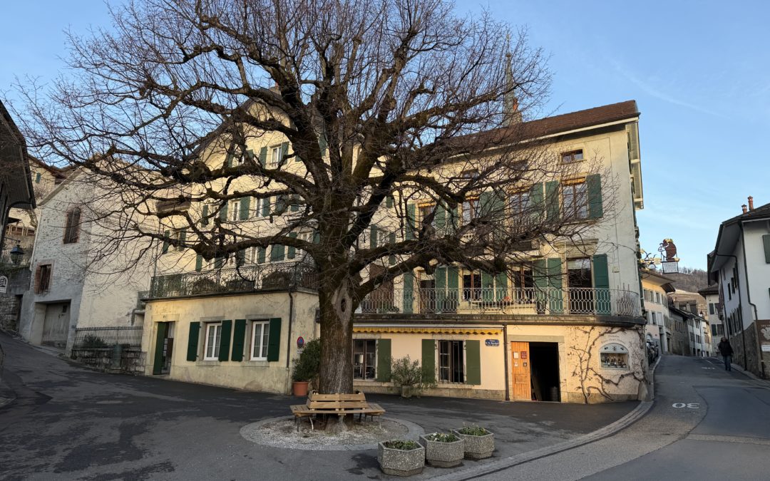 Domaine Jean Duboux Riex