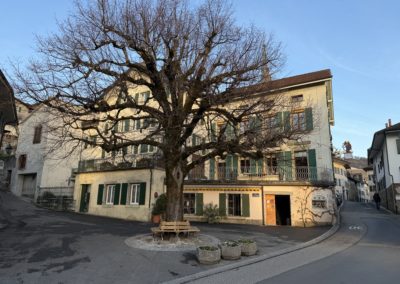 Domaine Jean Duboux Riez